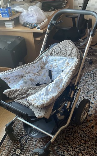 Kinderwagen und tragetasche - kinderwagen,